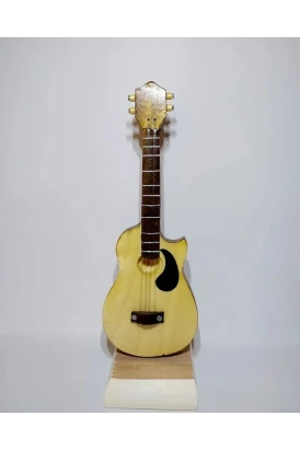 Biblo Akustik Gitar Modeli